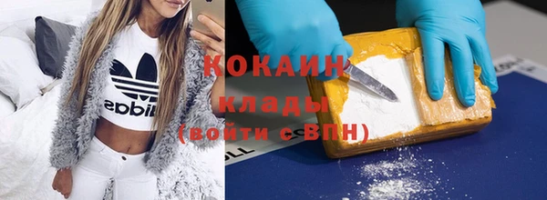 гашик Алзамай