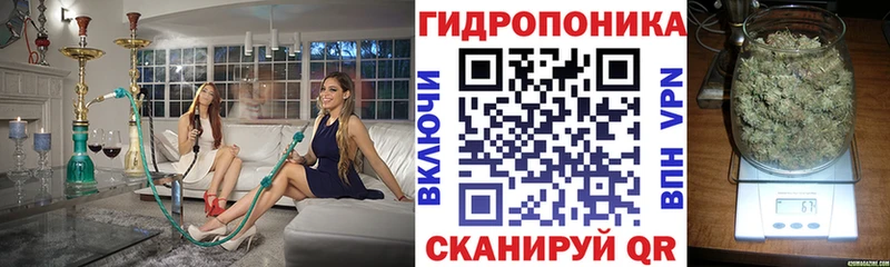 закладки Мышкин Бошки Шишки MAZAR